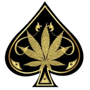 ACE ULTRA PREMIUM